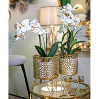 Coppia Vasi Tondi cm Ã˜ 16X20 - 13X20 - PINYOPPIA