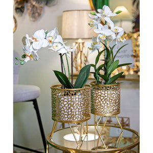 Coppia Vasi Tondi cm Ã˜ 16X20 - 13X20 - PINYOPPIA