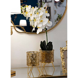 Coppia Vasi Design cm Ã˜ 16X20 - 13X20 - NATYOPPIA