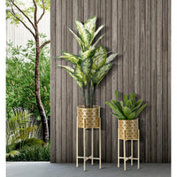 Vasi Stand Coppiacm diam 21X52 - 19X42 - GOLVY STANDOPPIA