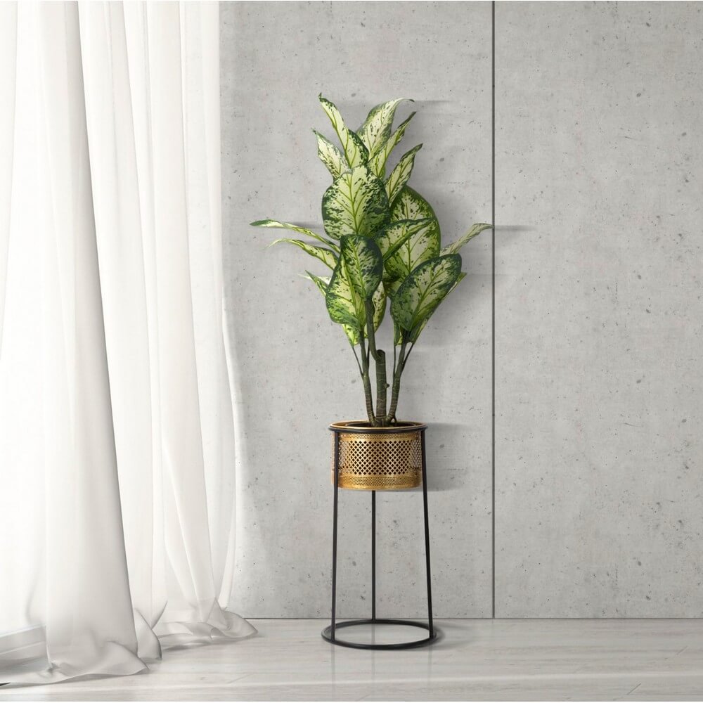 Vasi cm diam 25X50 - SIMPLY