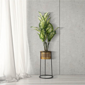 Vasi cm diam 25X50 - SIMPLY