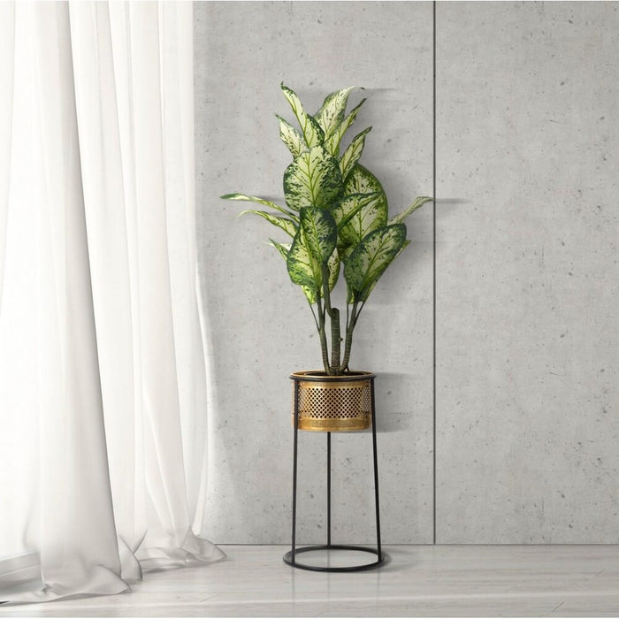 Vasi cm diam 25X50 - SIMPLY