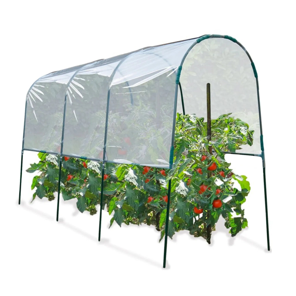 ProBache - Serra da giardino per pomodori 400 x 120 x 170 cm con telo trasparente + archi in acciaio