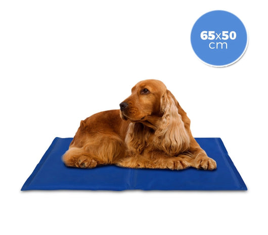 Tappetino 65x50 cm refrigerante con gel rinfrescante per cani taglia media
