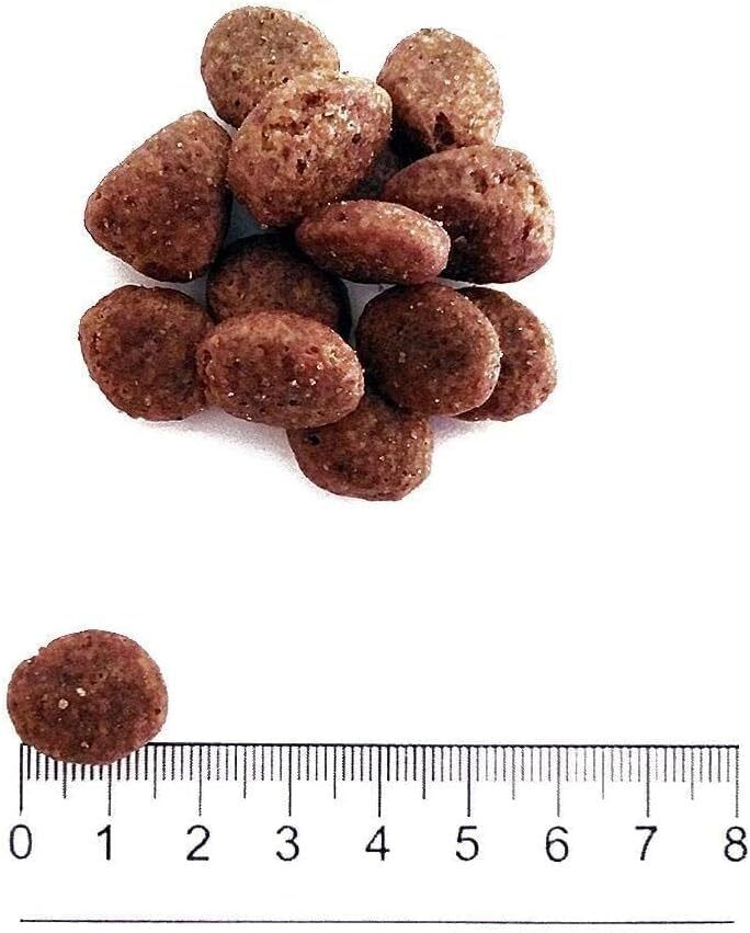 Confezione 2x10kg maiale e patate - prolife - Grain Free Adult Sensitive M/L