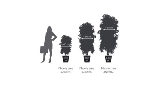 Albero Nicoly stabilizzato h 130