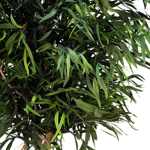 Albero Nicoly stabilizzato h 180 cm