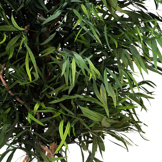 Albero Nicoly stabilizzato h 180 cm