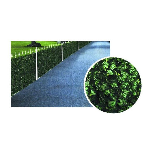 Il Campo Siepe Edera H 100 M 20 - 06231