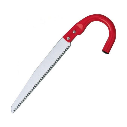 Ausonia Segaccio Diritto manico C 300 34070