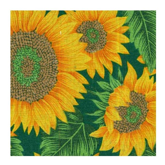 Xtra Tenda Sole Retino Stampata 250X150 Gir