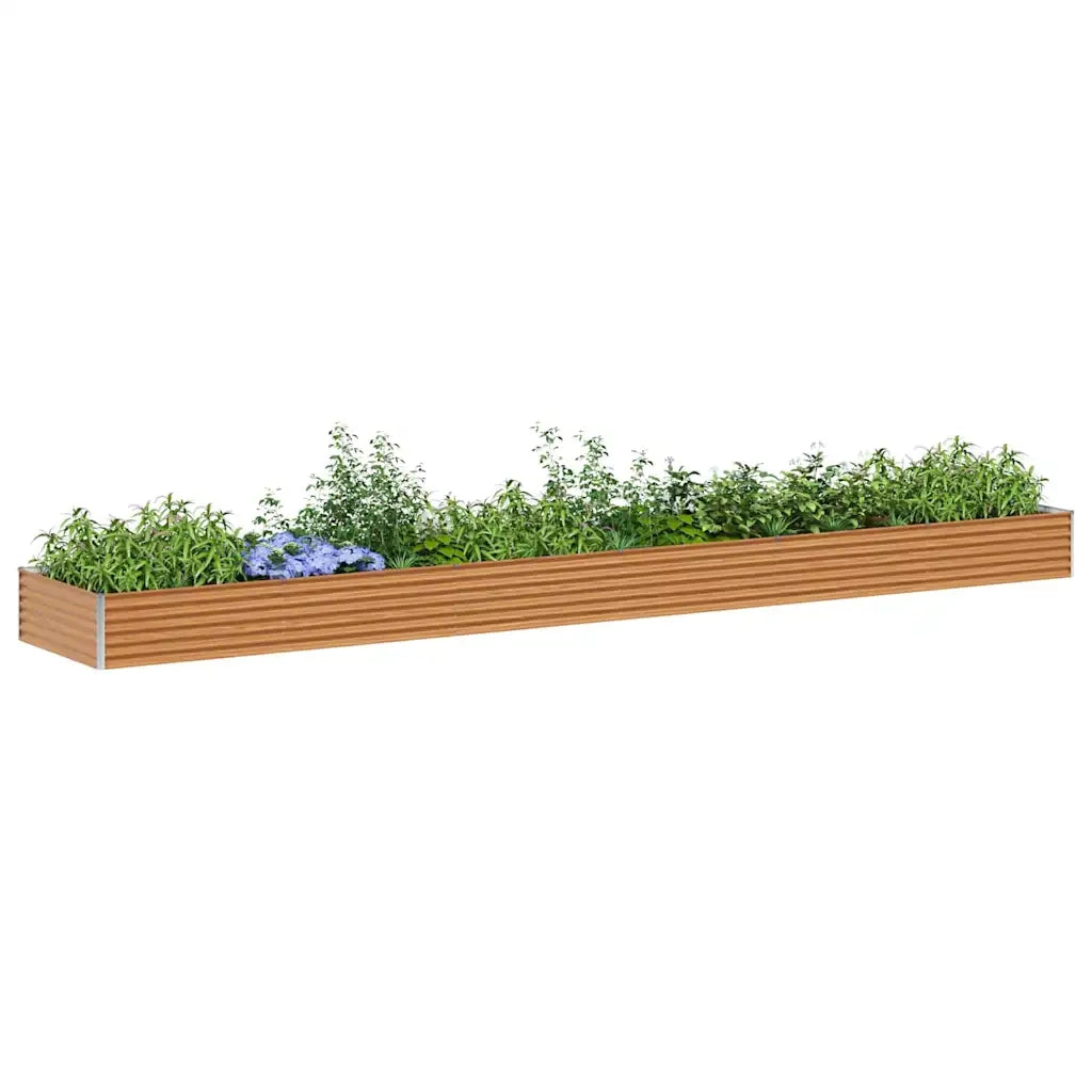 Fioriere | Cassetta per fiori | Letto rialzato da giardino 582 x 100 x 36 cm Acciaio zincato