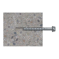 Fischer 536871 giravite e bullone 110 mm 20 pz Vite