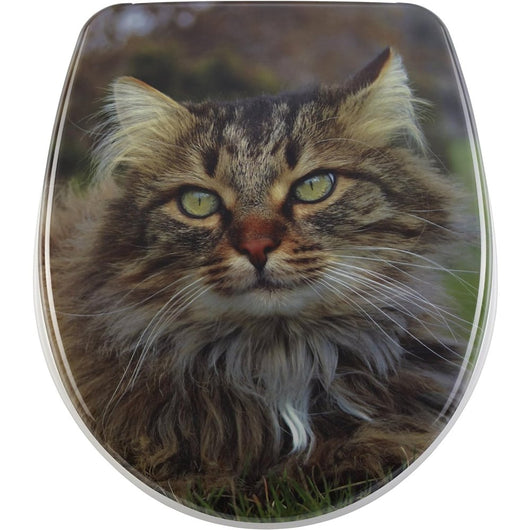 Diaqua, sedile wc, motivo: gatto, 40,5-46 x 37,5 cm, multicolore