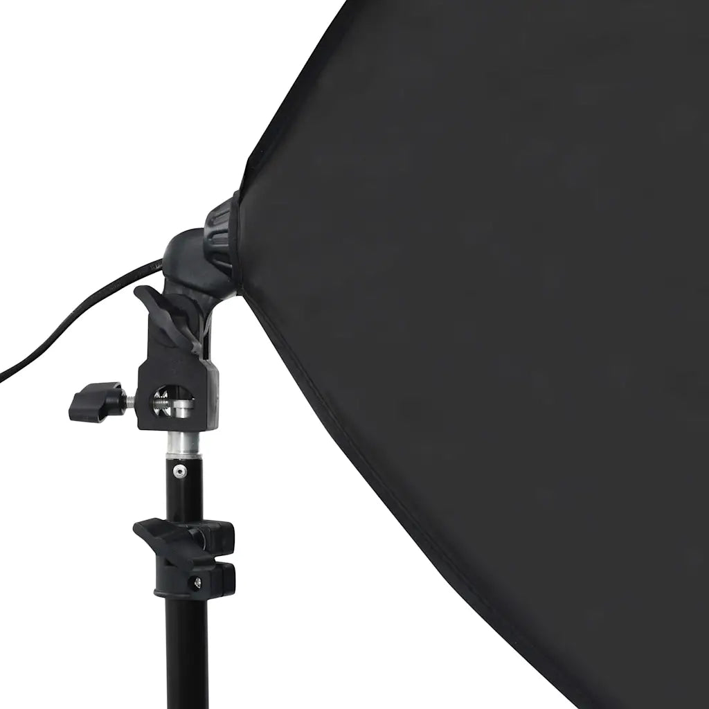 Luci Professionali da Studio 2 pz 40x60 cm in Acciaio Nero 190216