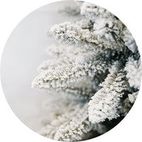 Albero di Natale Artificiale Innevato 240 cm 106 Rami Eucalipto del Gargano