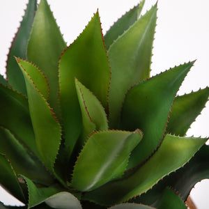 Pianta Artificiale Agave H71 cm con Vaso