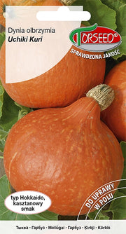 Zucca gigante Uchiki Kuri 2g