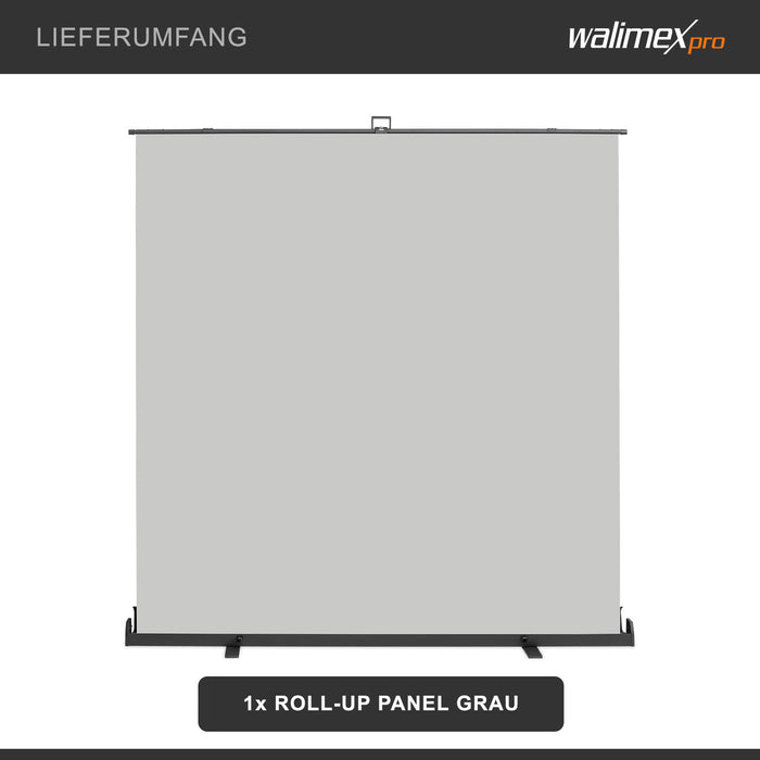 Fondale fotografico roll-up grigio 210x220, sfondo portatile con scatola di trasporto per fotoshooting, sistema autoportante, telo ingualcibile per studio fotografico