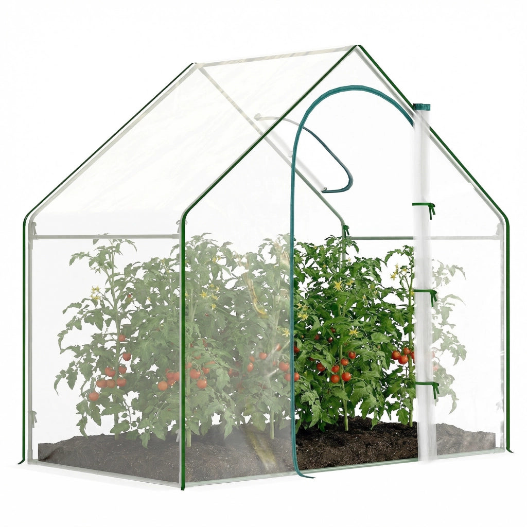 Serra da Giardino con Finestra e Porta ¨C Zephmum ¨C 180x100x168 cm Trasparente