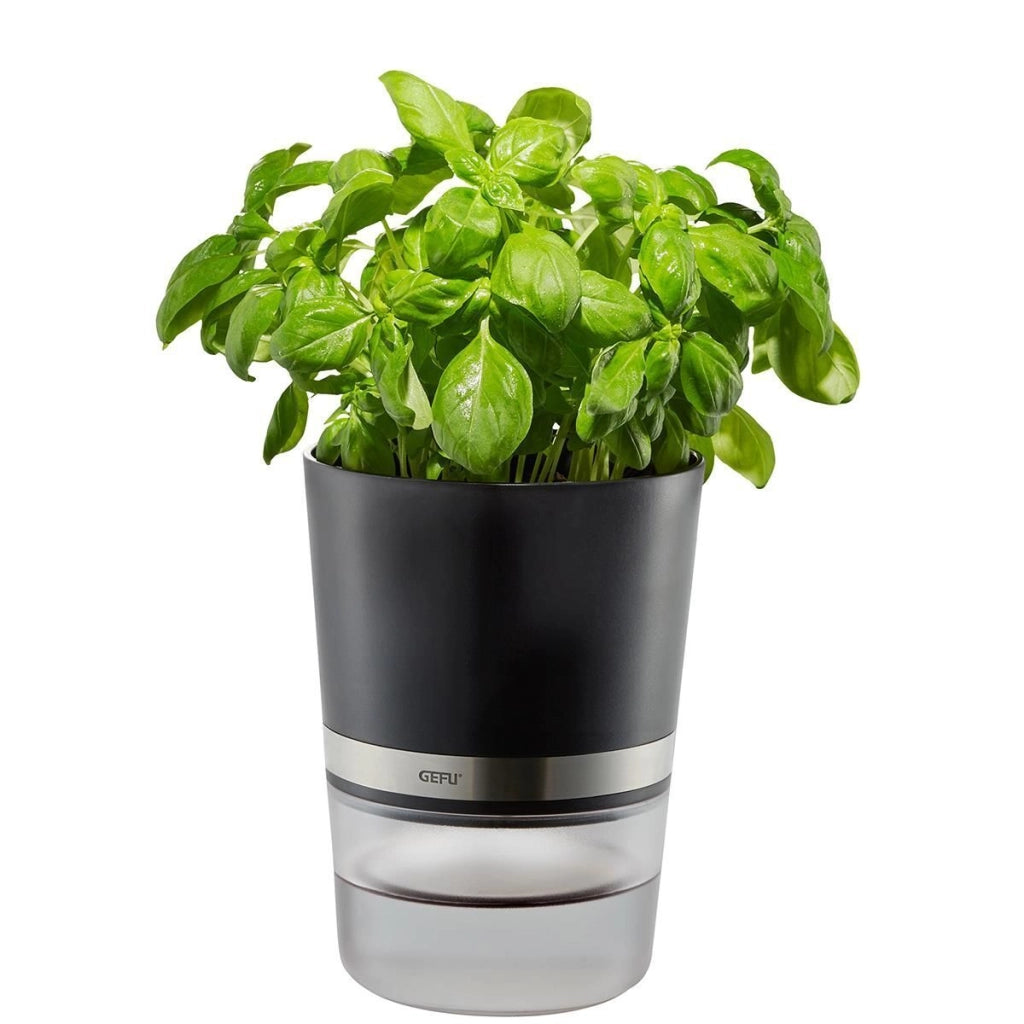GEFU BOTANICO Vaso per erbe aromatiche Libera installazione Plastica, Acciaio inossidabile Nero