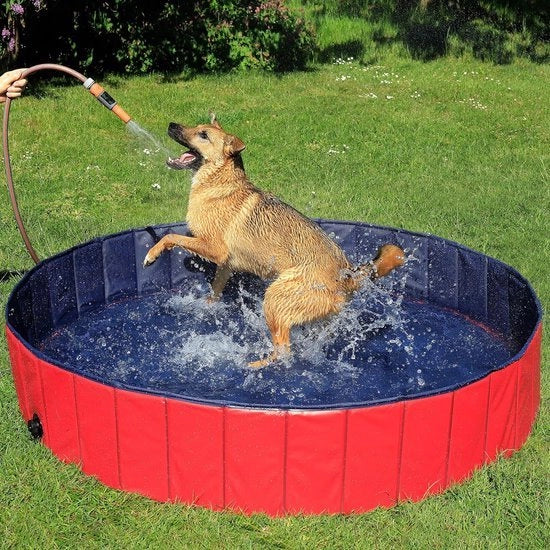 Piscina per cani (L 160x30 cm) - ideale per il piacere della piscina per cani