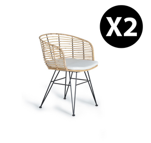 Set 2 sedie in rattan e metallo