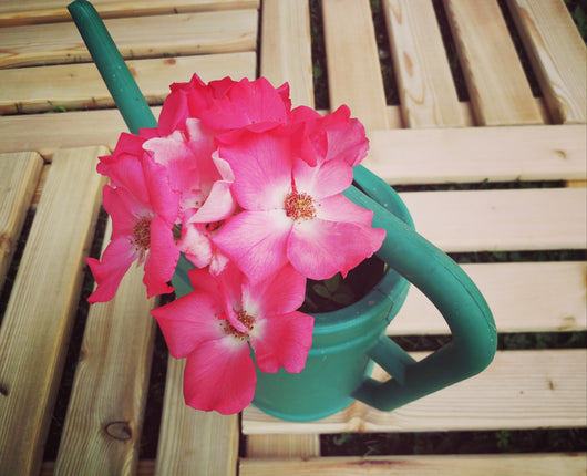 Confezione 4 Pz Mattonella In Larice Dim 34X34X H4 Cm