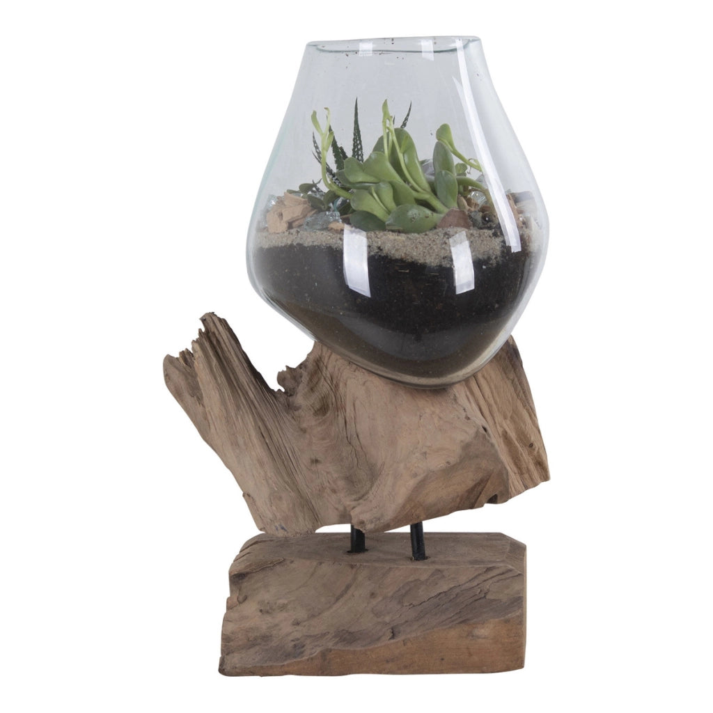 Terrario San Marino in vetro a goccia su base in radice di teak 18x15xh25 cm