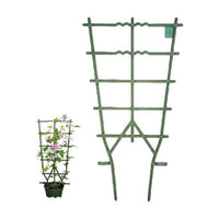 Erba Telaio vasi Rampicanti Verde cm 35 h 75