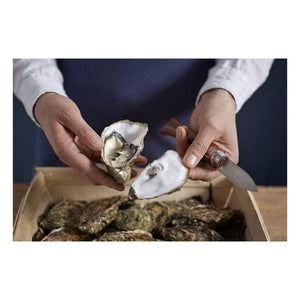 Opinel N°09 Sunfish Rosso