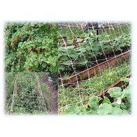 Reti Ortofrutta In Nylon Sostengreen