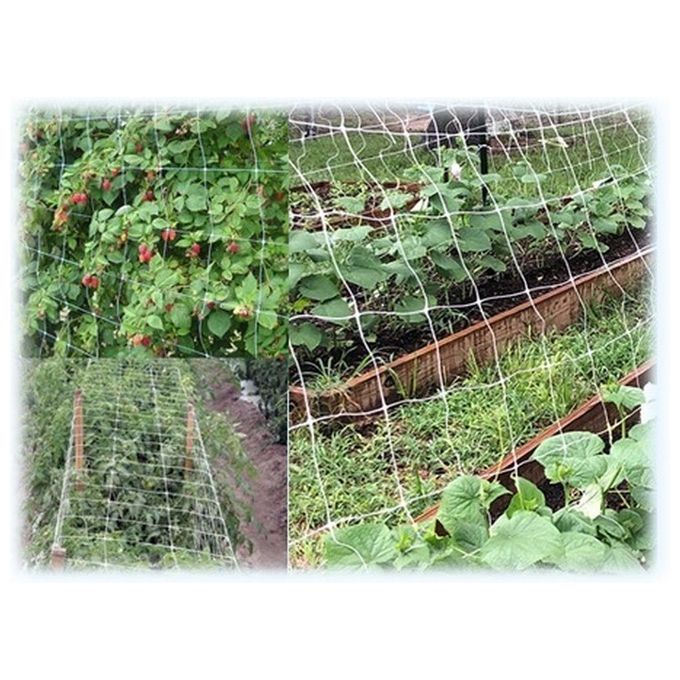 Reti Ortofrutta In Nylon Sostengreen