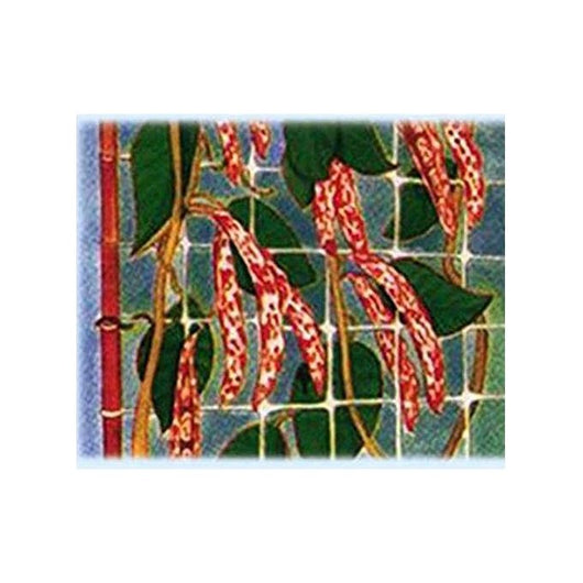 Reti Ortofrutta In Nylon Sostengreen