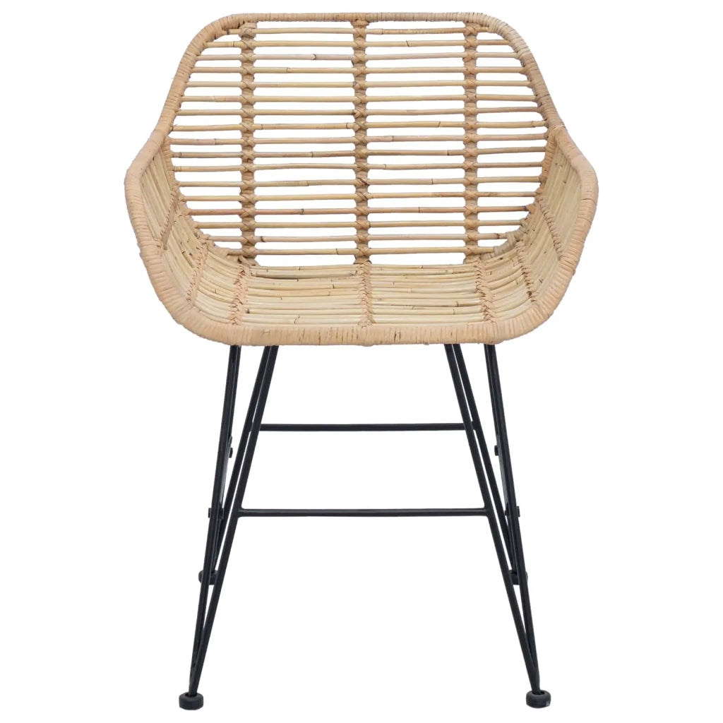 Sedia da pranzo 2 pcs Rattan e Ferro Naturale 55 x 50 x 74 cm