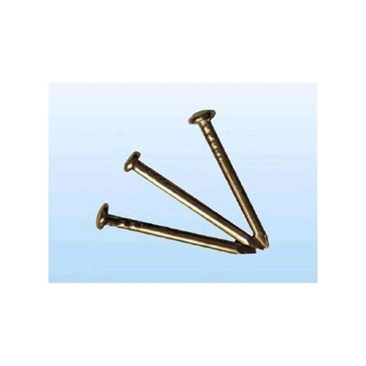 Punte Ottonate Testa Bombata 10X12