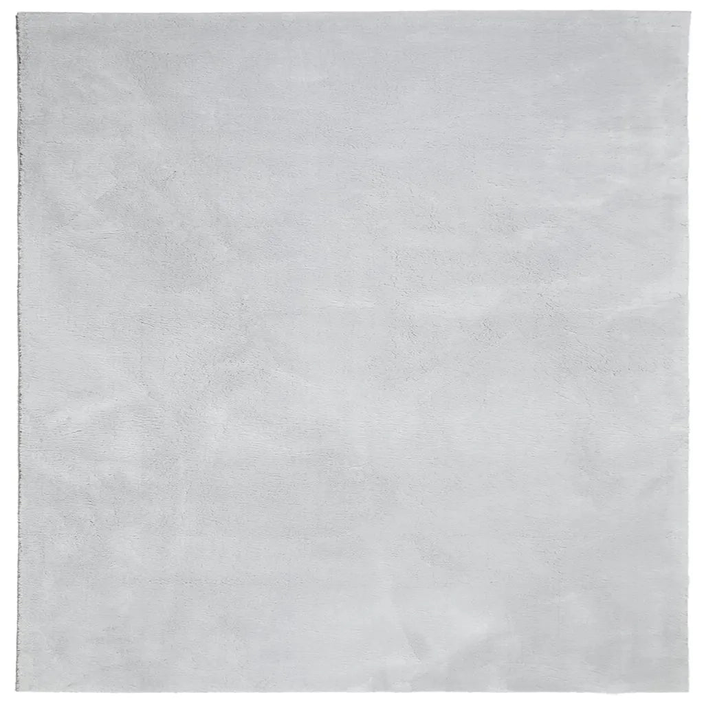 Tappeto del soggiorno | Tappeto a Pelo Corto HUARTE Morbido e Lavabile Grigio 200x200cm