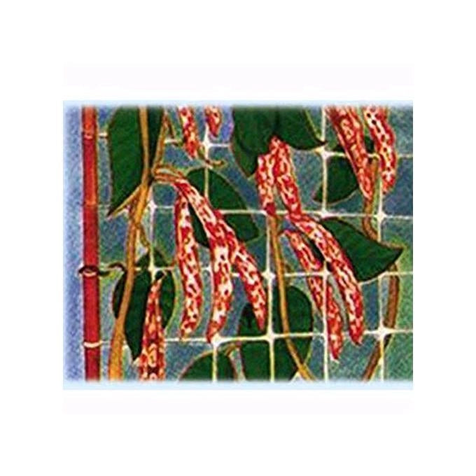 Reti Ortofrutta In Nylon Sostengreen