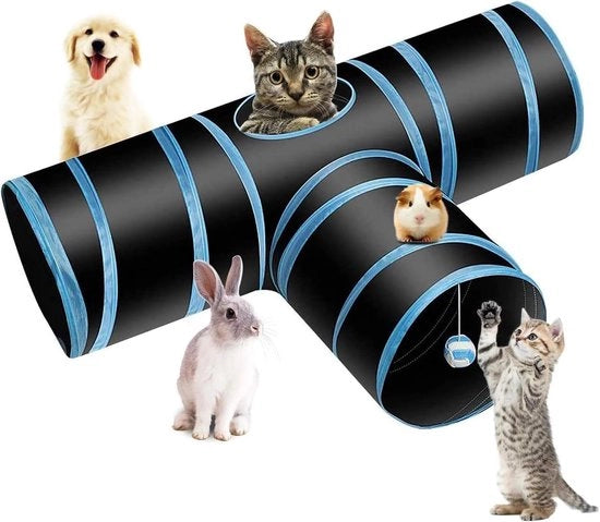 Tunnel per Gatti Tridimensionale con Entrata e Uscita