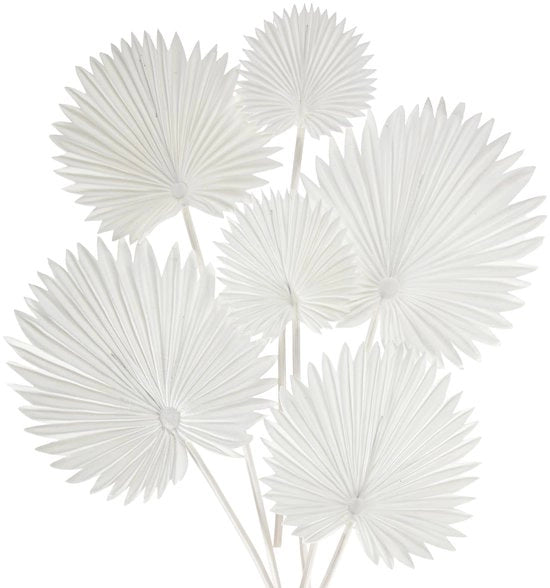 Set di 6 Foglie di Palma in Plastica Bianche con Foglie di Palma Flessibili in Acciaio per Fiori Decorazioni di Casa Giardino Festa Ufficio Arredamento