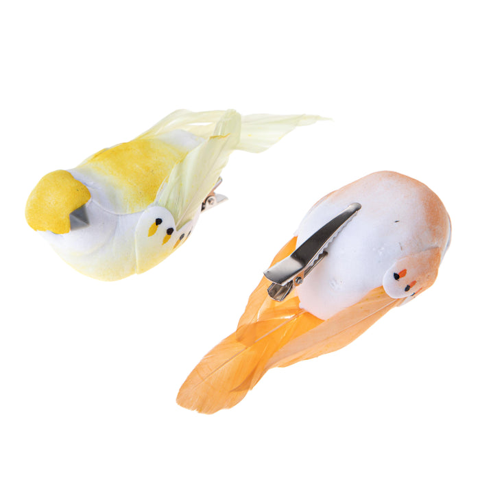 Set 24 Uccellini con Clip Larghezza 10 cm