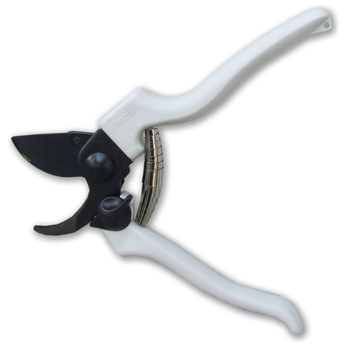 Ausonia 31145 Forbice Vigna 19cm Teflon