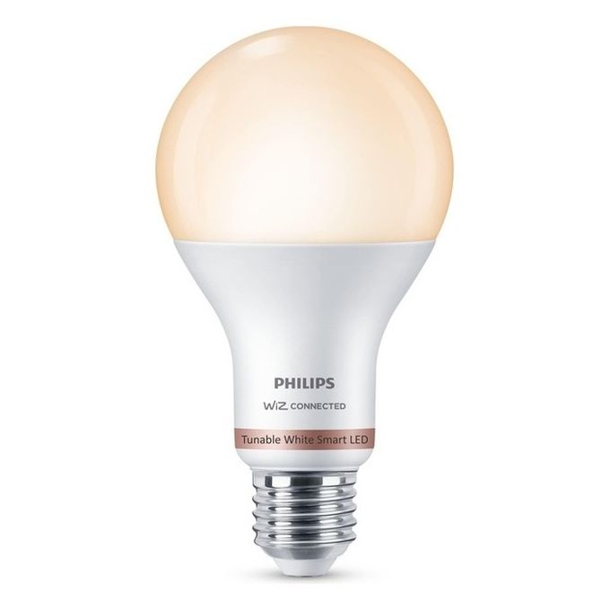 Philips Lampadina A67 E27