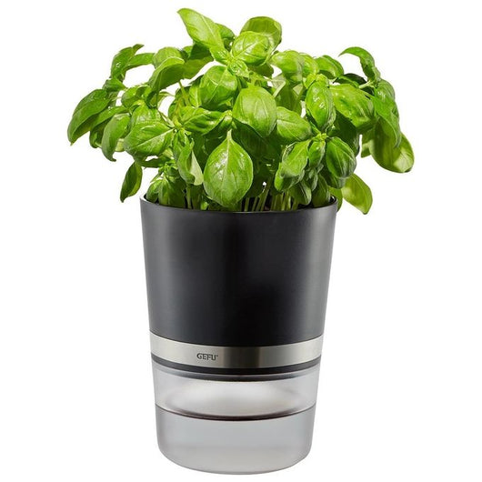 GEFU BOTANICO Vaso per erbe aromatiche Libera installazione Plastica, Acciaio inossidabile Nero