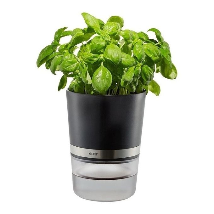 GEFU BOTANICO Vaso per erbe aromatiche Libera installazione Plastica, Acciaio inossidabile Nero