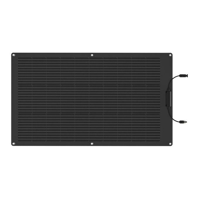 EcoFlow Pannello solare 100W flessibile