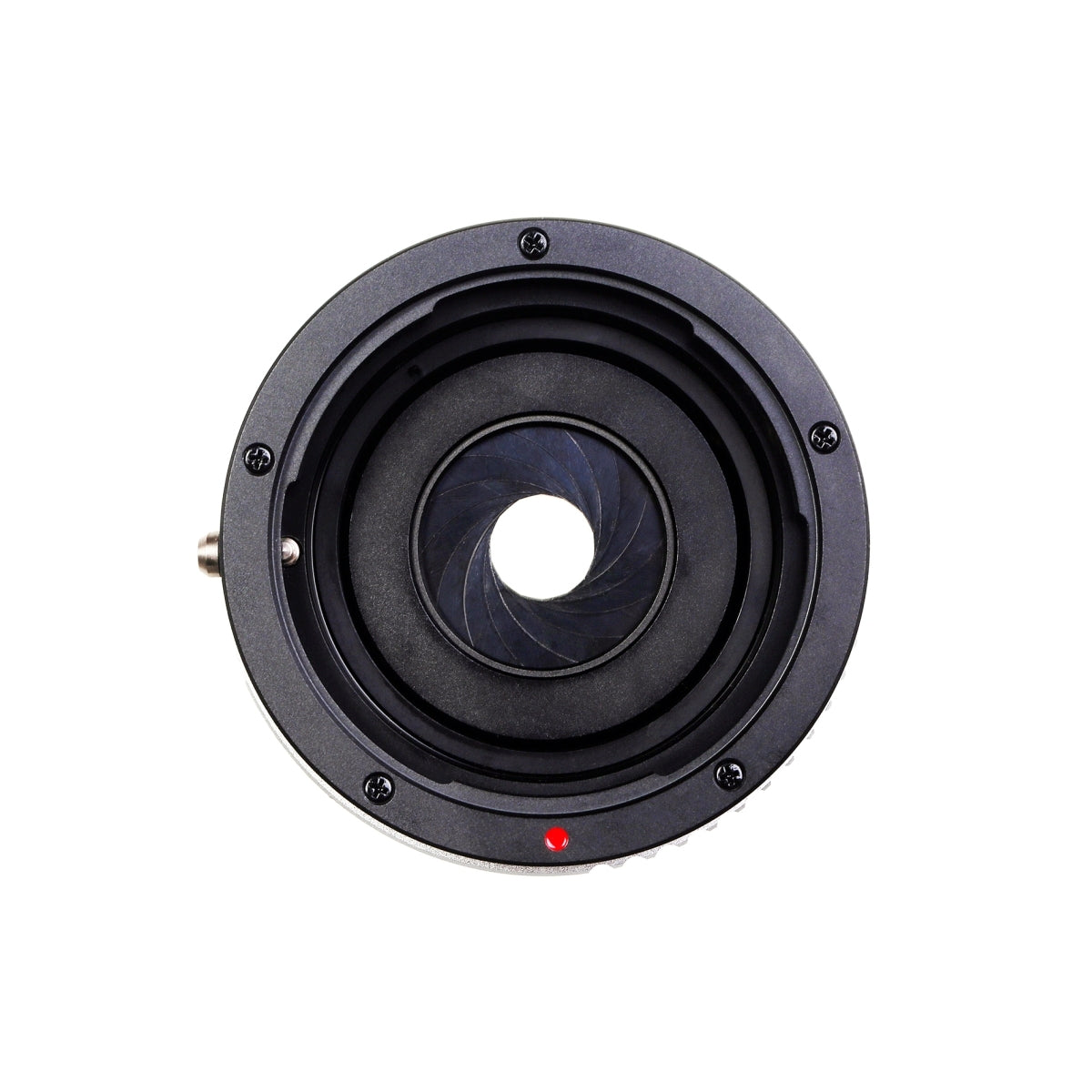 Kipon Adattatore compatibile con Contax N a MFT