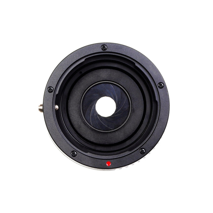 Kipon Adattatore compatibile con Contax N a MFT