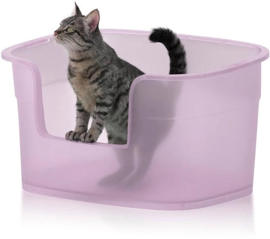 Ciotola per gatti grande, 63 cm x 45 cm x 33 cm profonda, facile da pulire, ingresso ridotto, anti-mors, trasparente viola